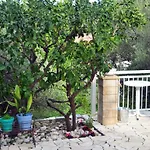 بيت ضيافة Rose On The Island Of Rab