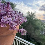 Πανσιόν Rose On The Island Of Rab 4*