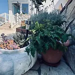 بيت ضيافة Rose On The Island Of Rab Banjol