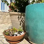 Rose On The Island Of Rab 4*