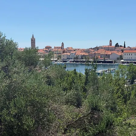 Rose On The Island Of Rab