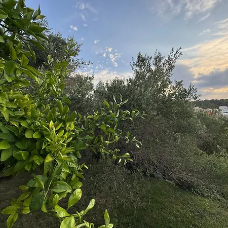 Πανσιόν Rose On The Island Of Rab 4*