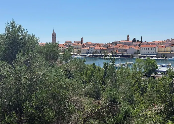 Rose On The Island Of Rab