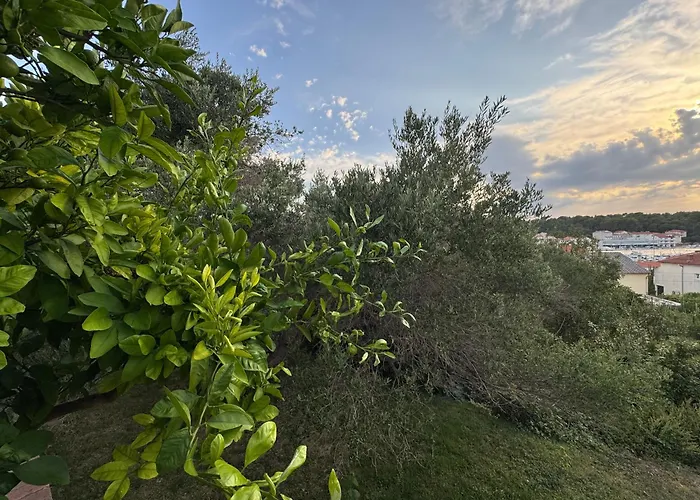 Gasthof Rose On The Island Of Rab 4*
