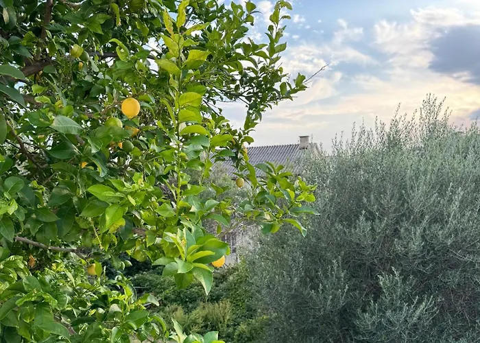 Gasthof Rose On The Island Of Rab 4*