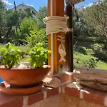 Rose On The Island Of Rab 4* Banjol