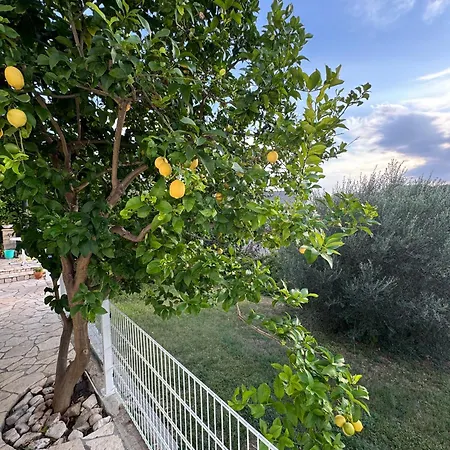 Pensión Rose On The Island Of Rab 4*