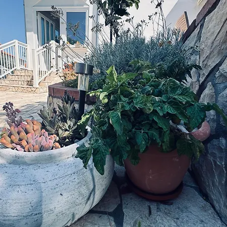 Pensión Rose On The Island Of Rab Banjol