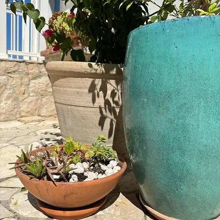 Rose On The Island Of Rab 4*