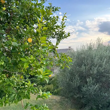 Pensión Rose On The Island Of Rab 4*