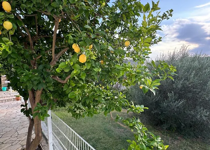 Penzion Rose On The Island Of Rab 4*