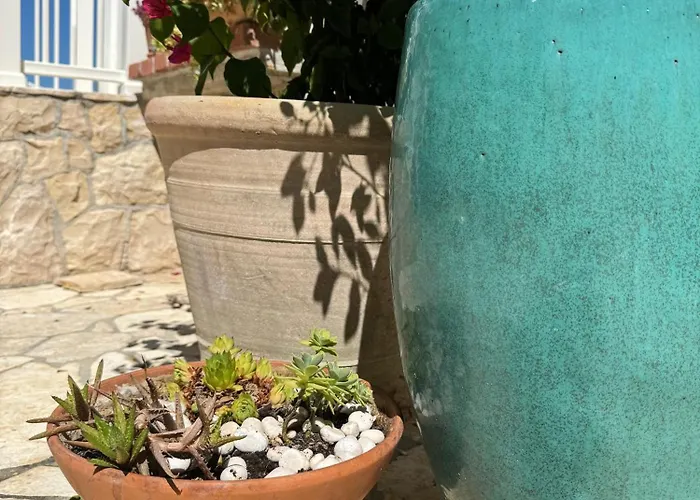 Rose On The Island Of Rab 4*